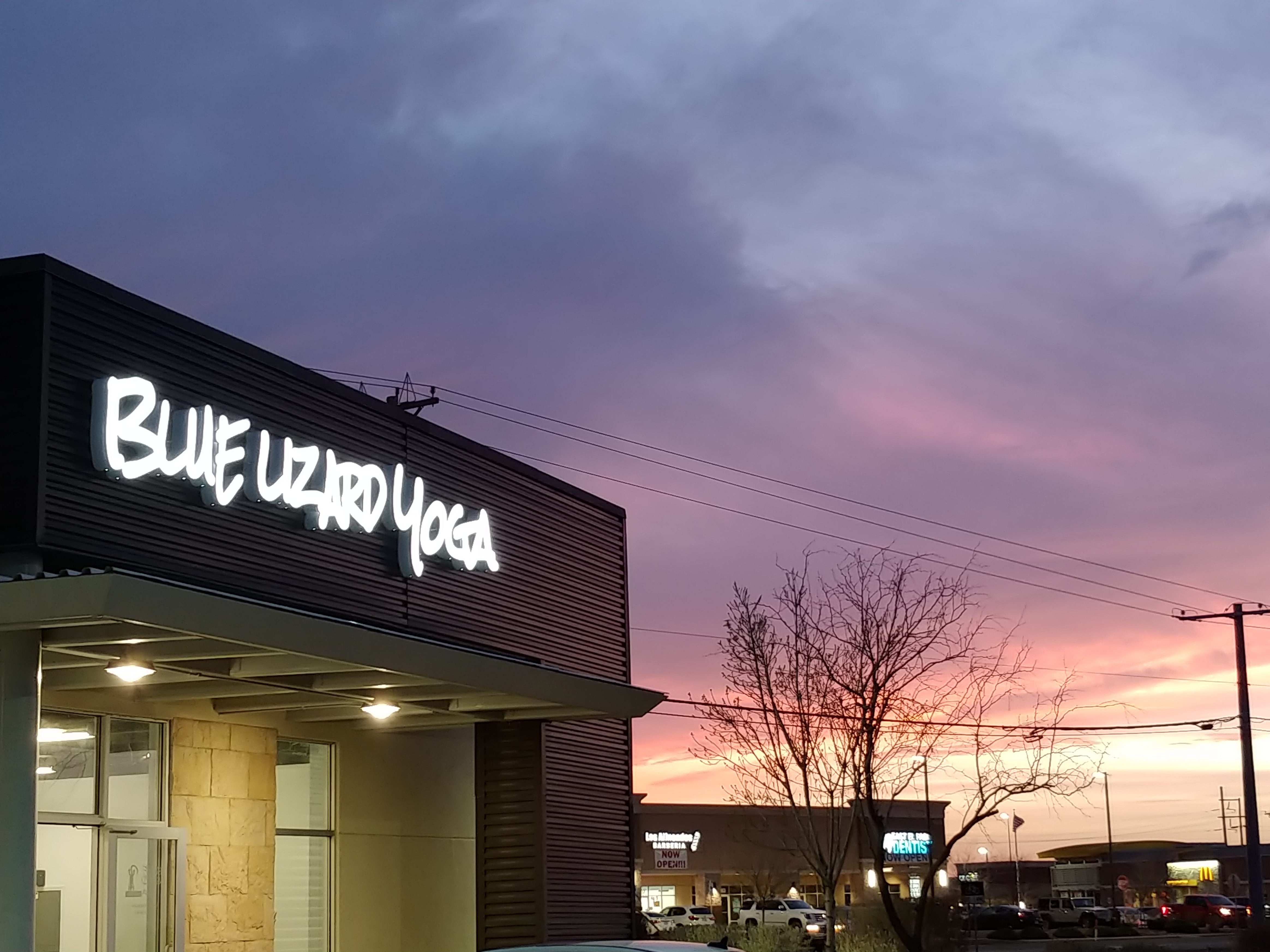 Blue Lizard Yoga Sign at night